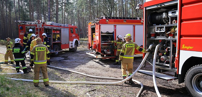 Niemal setka strażaków w akcji. Wielkie ćwiczenia w Puszczy Wkrzańskiej