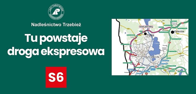Wznowiono wycinkę drzew pod budowę Zachodniej Obwodnicy Szczecina