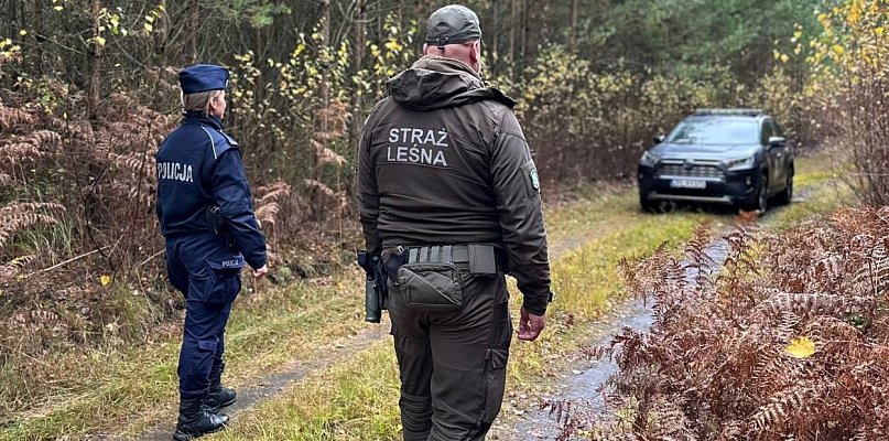 Działania prewencyjne STROISZ-25 - 20039