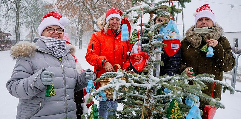 W Niekłończycy stanie "niezwykła choinka" z marzeniami zamkniętymi w bombkach - 20511