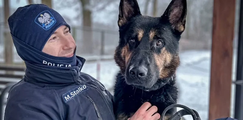 Policyjny pies Orys odnalazł osobę w kryzysie emocjonalnym - 20568