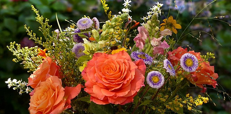 Dzisiaj Dzień Babci, jutro Dzień Dziadka - 21226