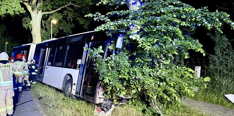 Autobus uderzył w drzewo w Grzepnicy. Kierowca trafił do szpitala