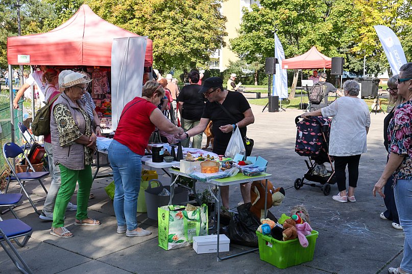 Pchli Targ w Policach