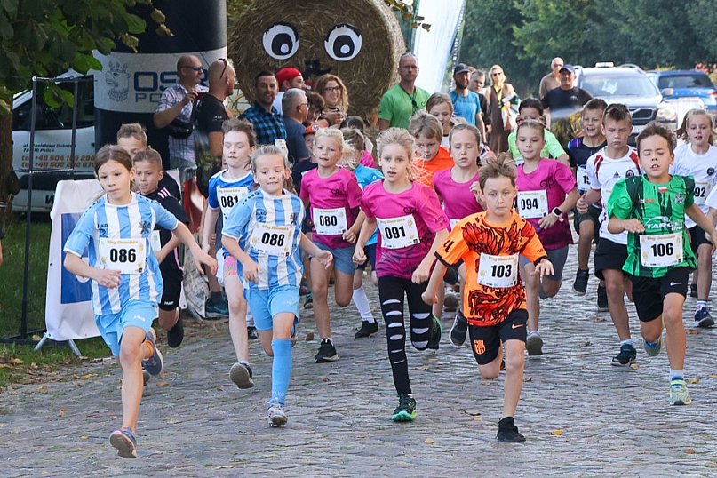 Bieg Farmera w Przęsocinie