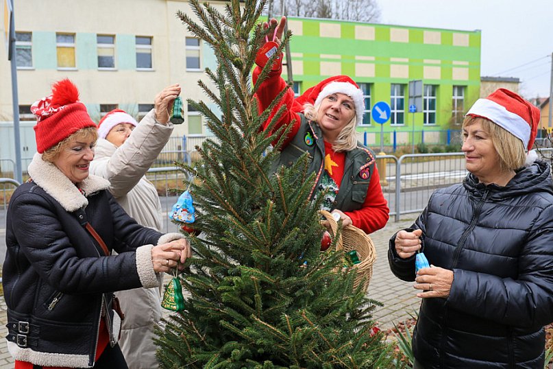 NieZwykła Choinka w Niekłończycy