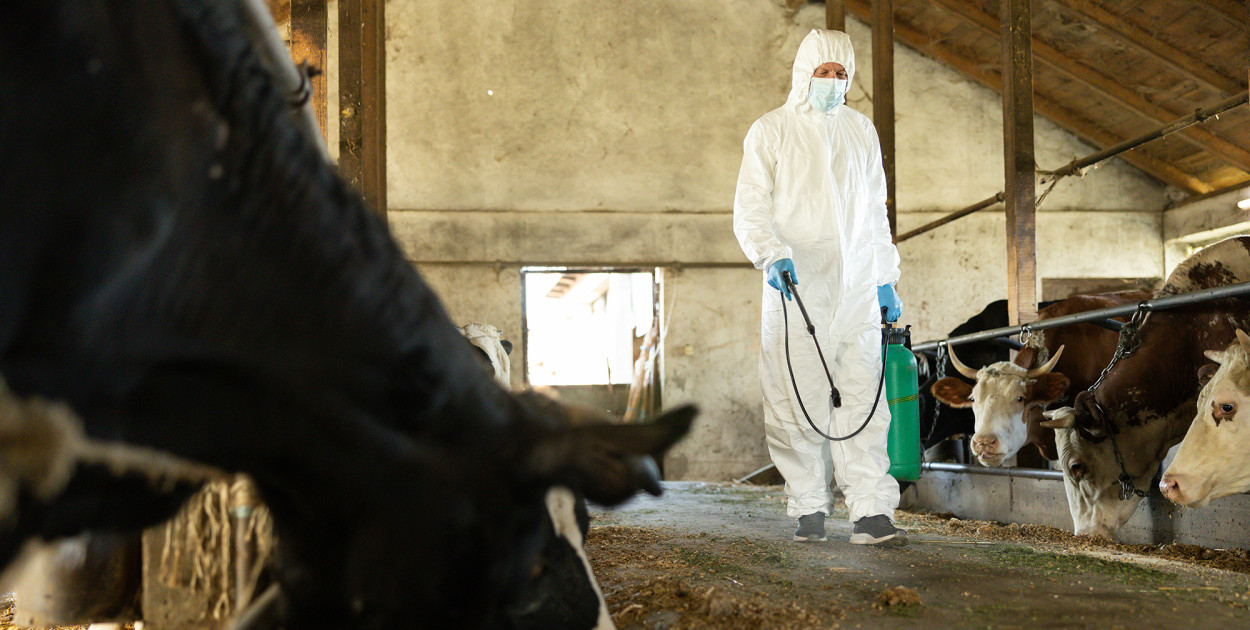 Bioasekuracja w gospodarstwie – klucz do ochrony zdrowia zwierząt i rentowności...