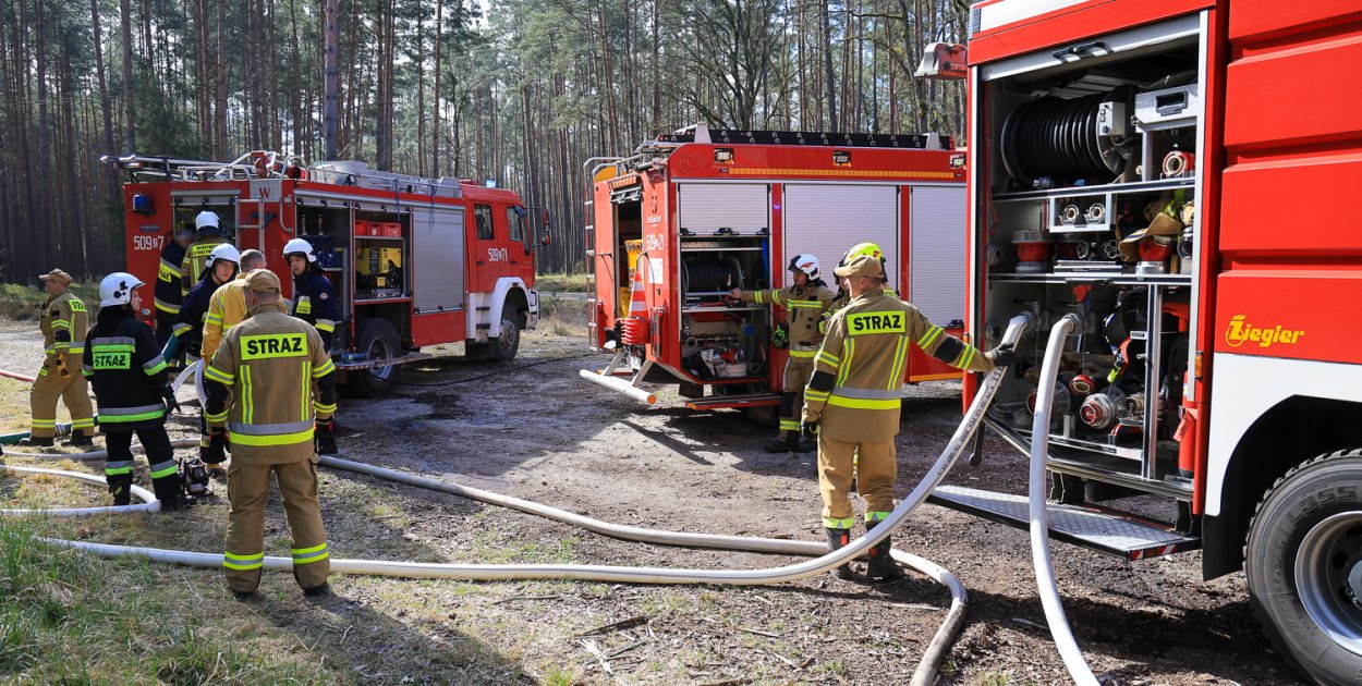 Niemal setka strażaków w akcji. Wielkie ćwiczenia w Puszczy Wkrzańskiej